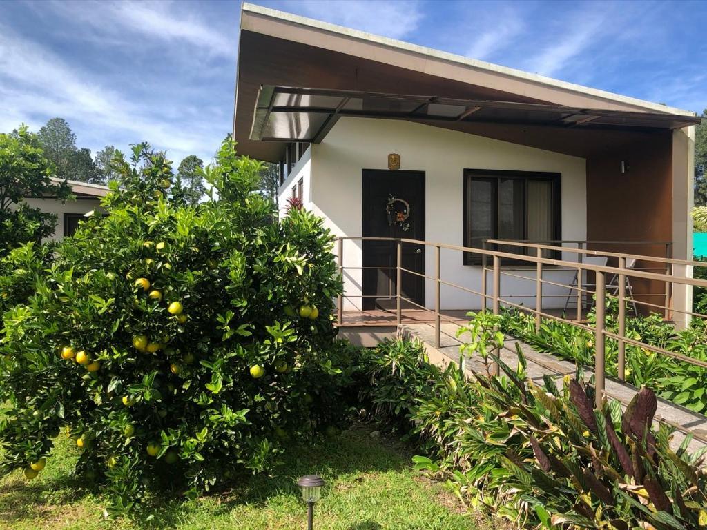 Posada Canaveral Ujarrás Esterno foto